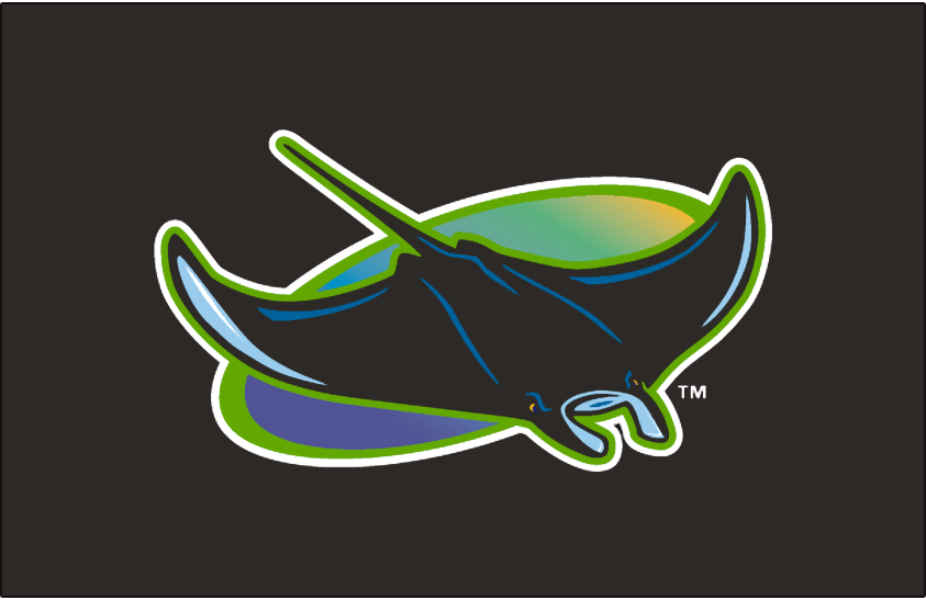 Tampa Bay Devil Rays 1998-2000 Cap Logo v2 DIY iron on transfer (heat transfer)